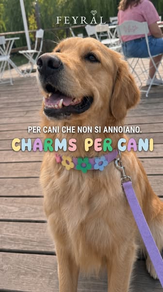 Il suo nome, charm su charm