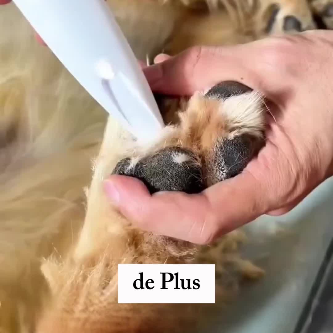 30 jours d'essai sans risque