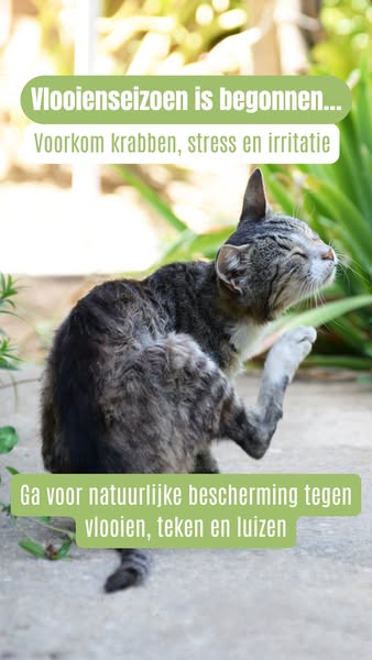 Natuurlijk tegen vlooien