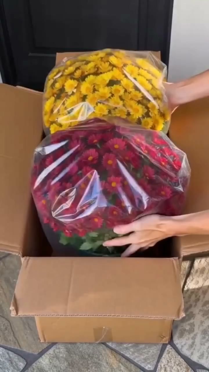 Artificial Outdoor Sunset Mums Flowers