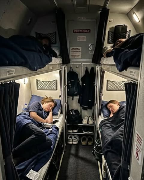 Il “lenzuolo strano” di cui ogni viaggiatore ha bisogno