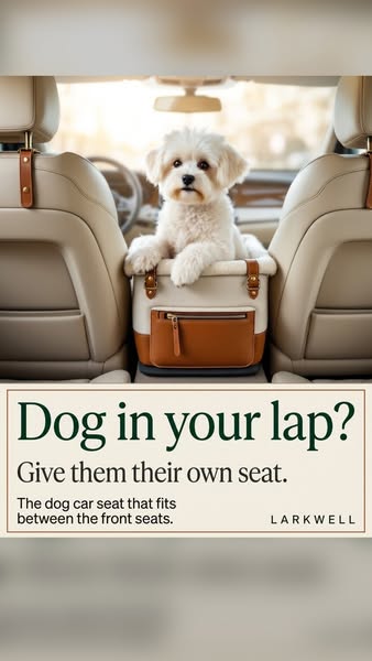 Rides between the front seats