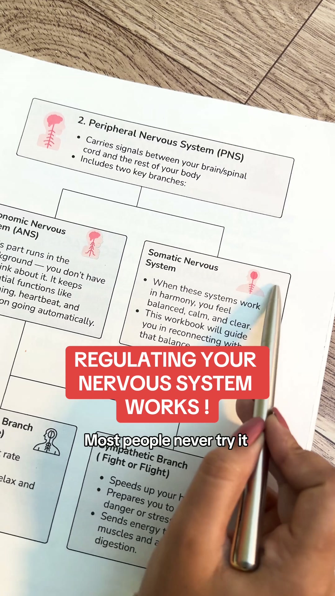 Regulating your nervous system works finally learn how at 90% off today.