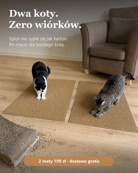 Kot drapie. Kanapa cała.