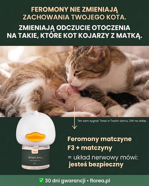 Sygnał, który kot zna od urodzenia