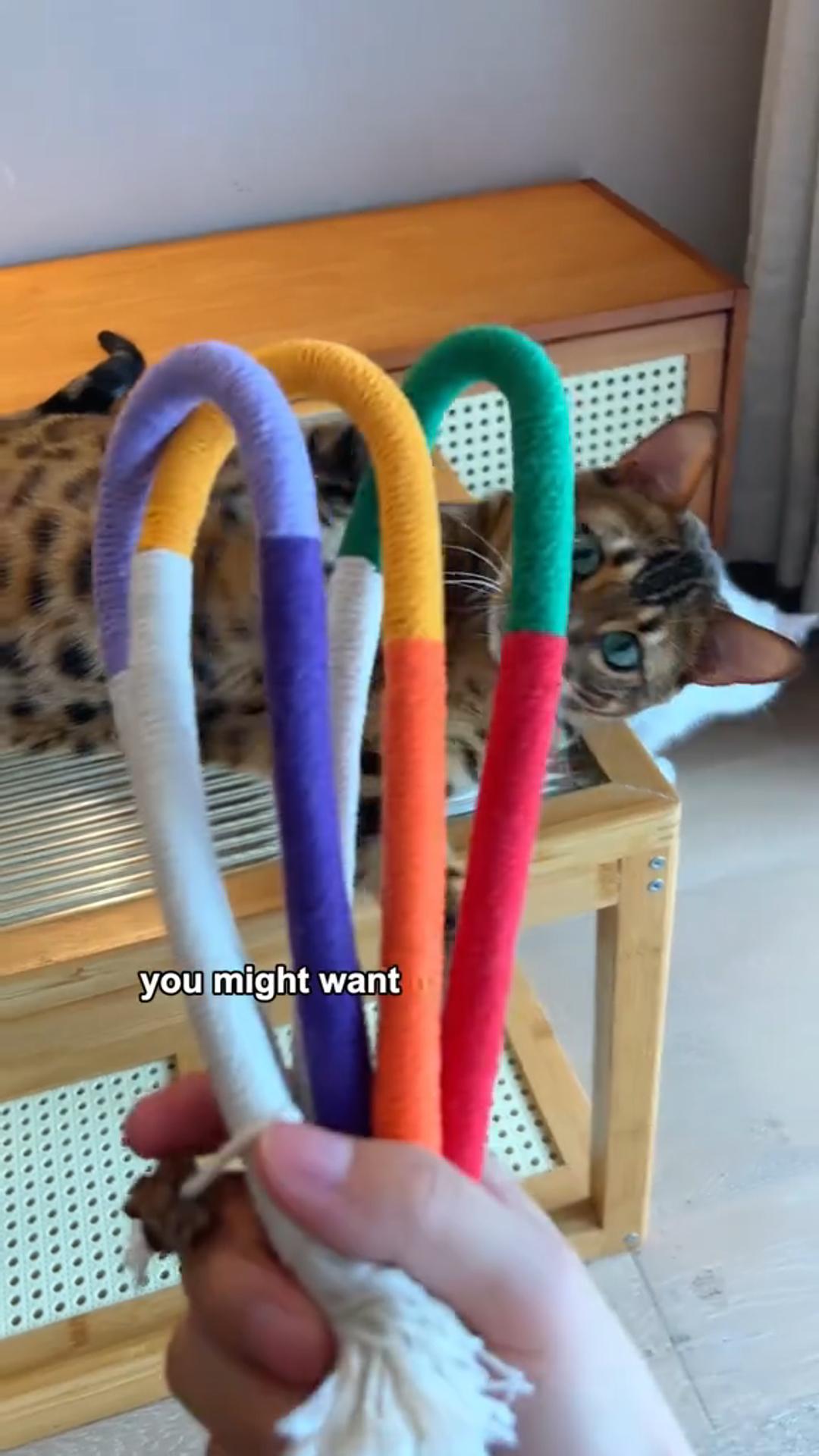 Quiet fun for your cat