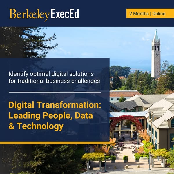 Deploy high-impact digital strategies
