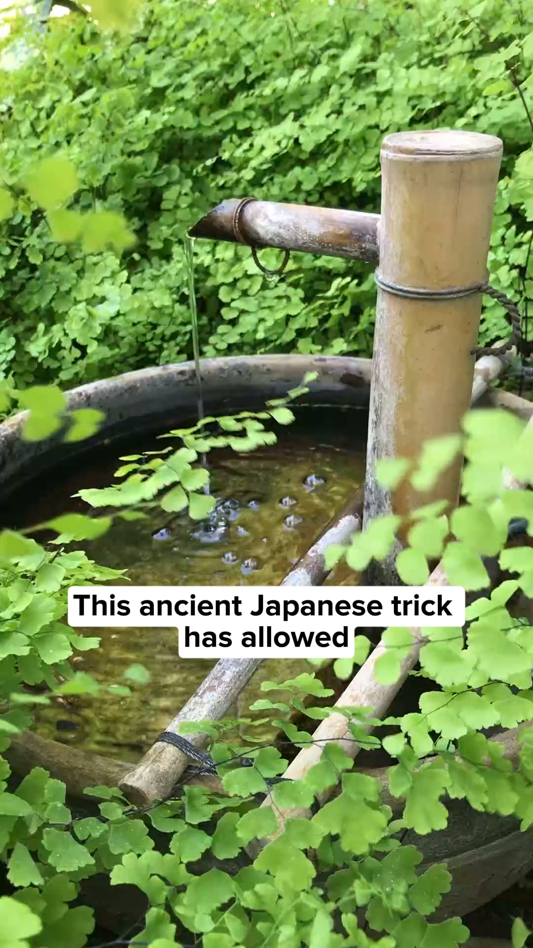 The ancient Japanese dog trick