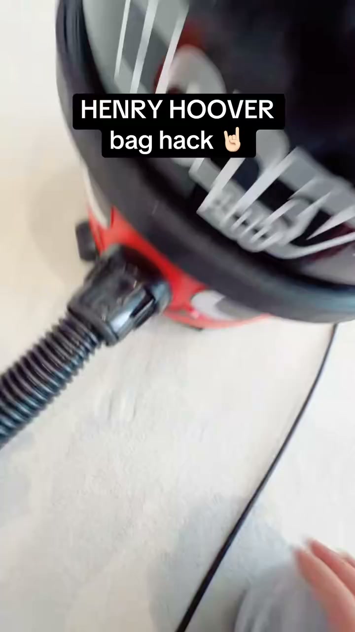Vacuum Cleaner Dust Bags