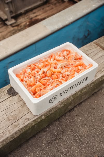 Danske jomfruhummerhaler i sæson