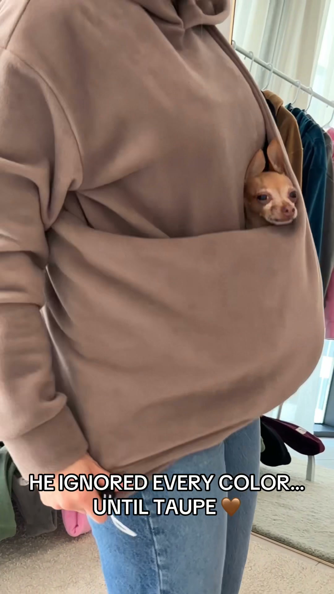 Warm & Cozy Dog Carrier for Tiny Paws