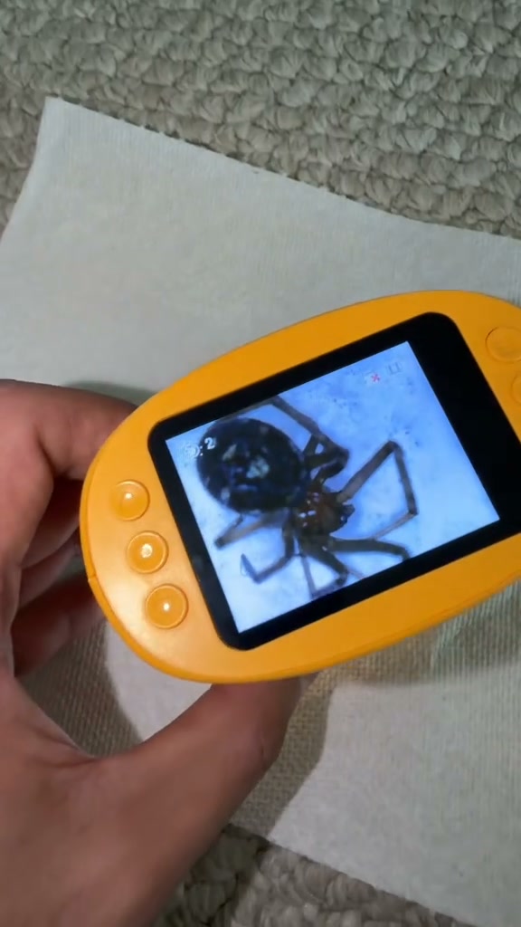 Kideo Microscope