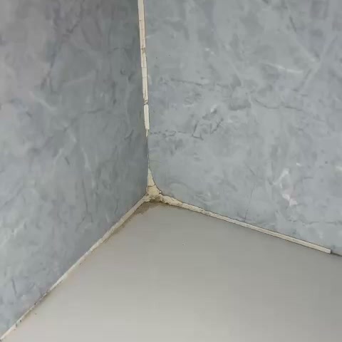 Envío gratuito | Paga cuando lo recibas
