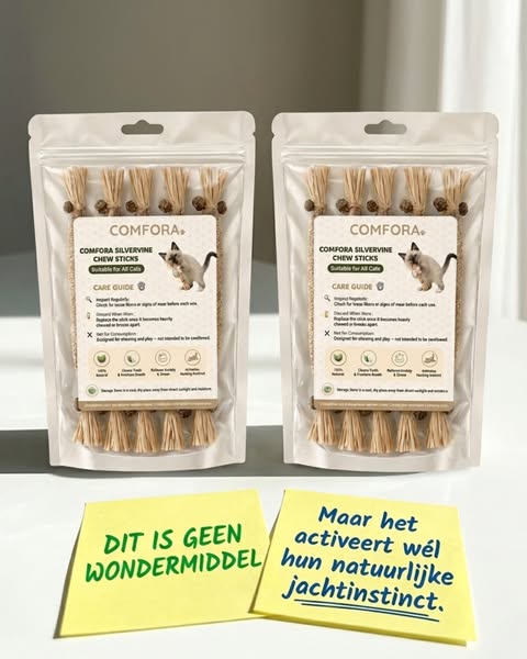 Je kat is niet gewoon rustig. Ze mist iets.