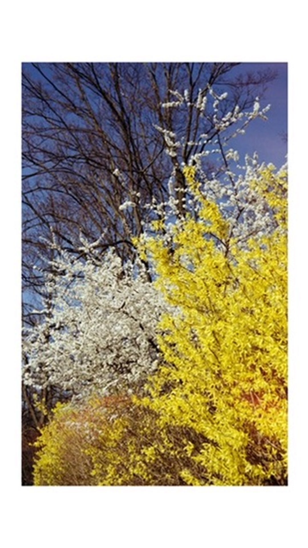 Develop all film at home with AGO