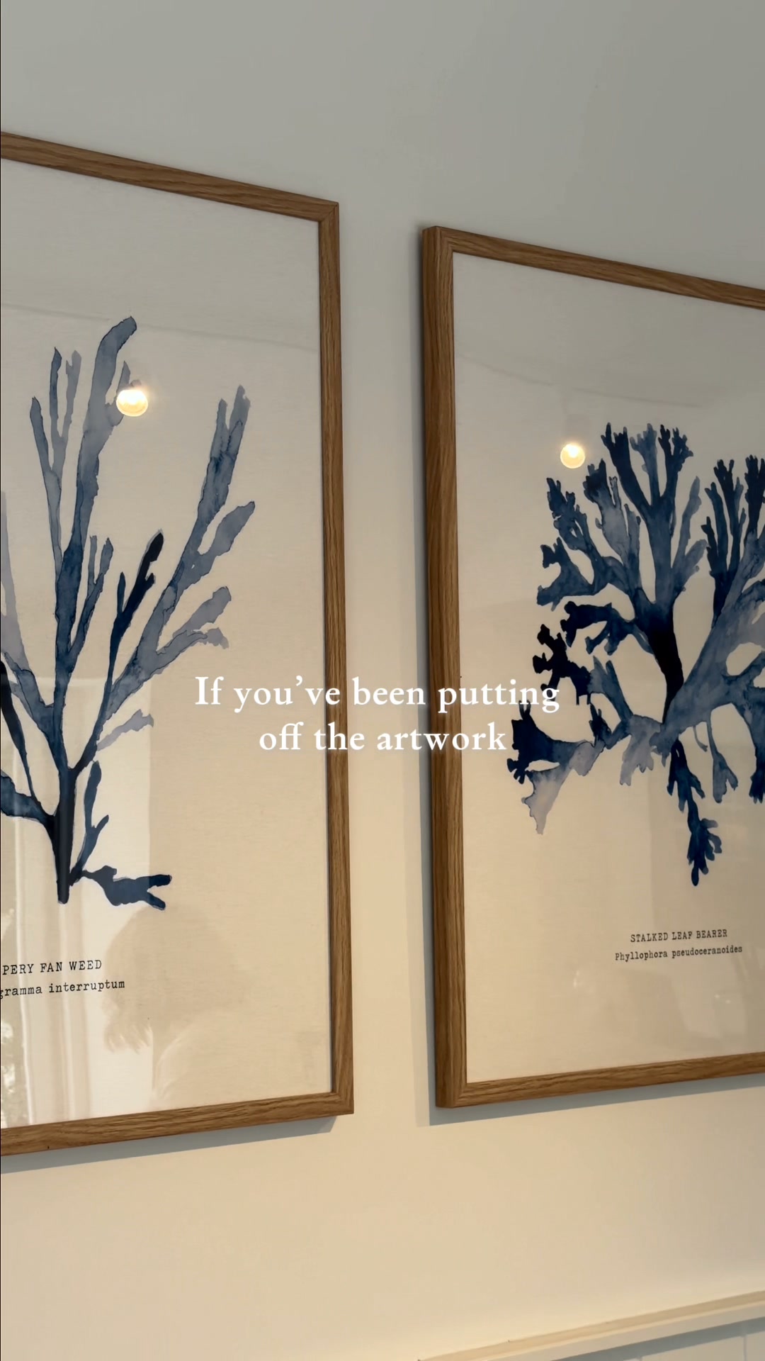 Your Walls Deserve More