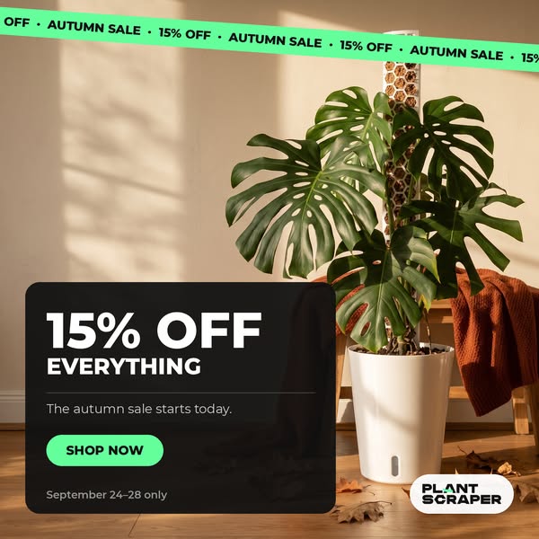 Autumn Sale 15% off everything