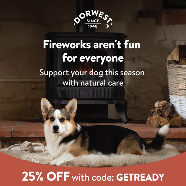 Support your dog this fireworks season