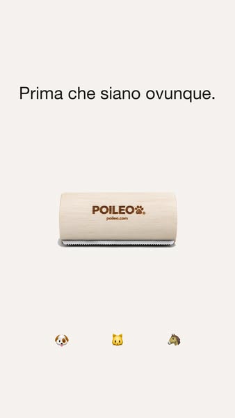 Prendi il pelo prima che cada