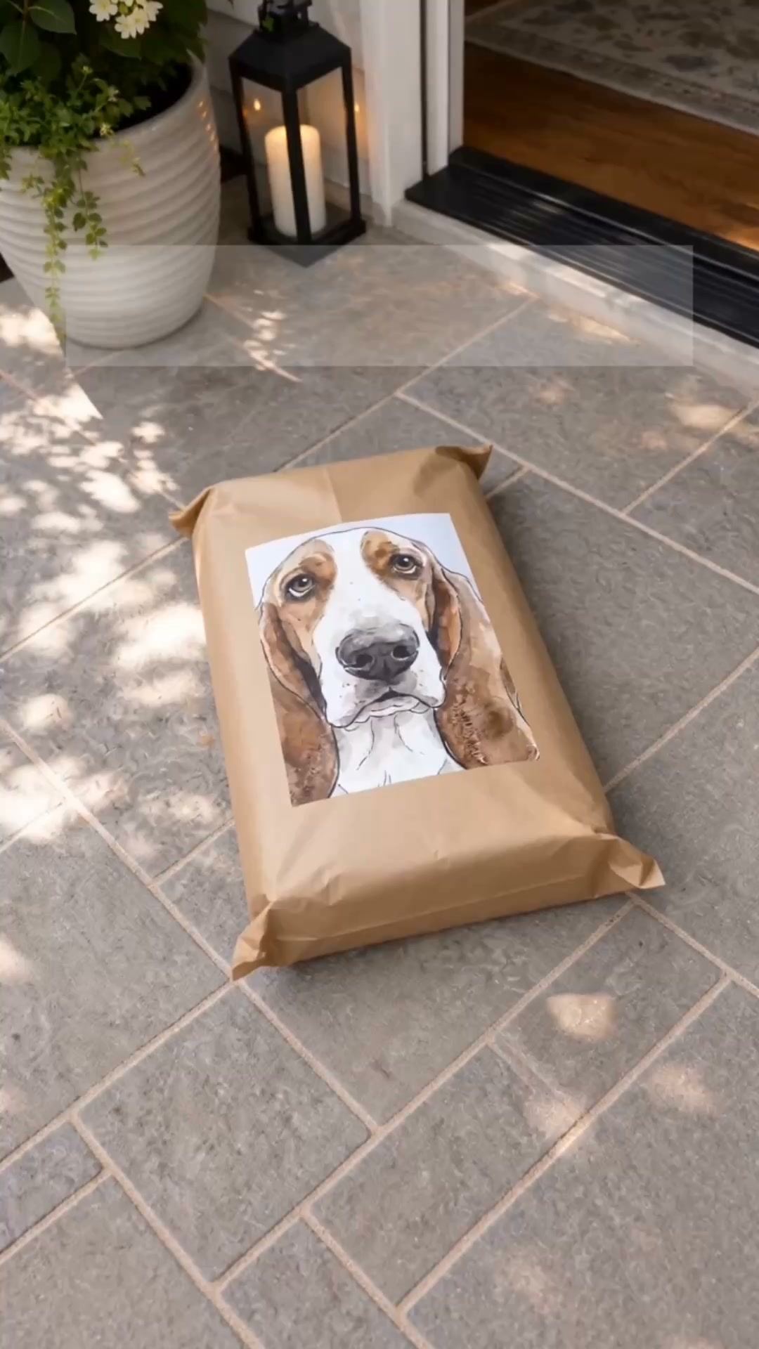 Welcome Home, Buddy