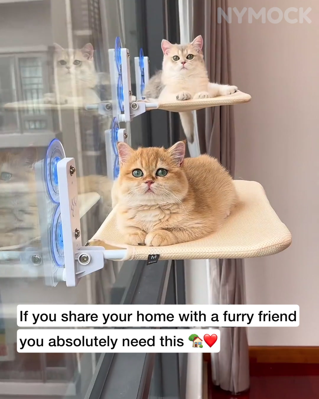 Elevate Your Cat’s World and Your Space