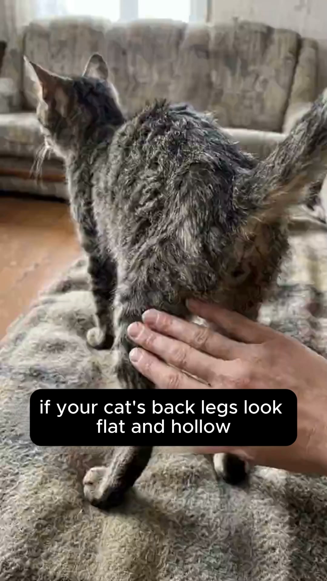 It's not their age. It's their bowl.