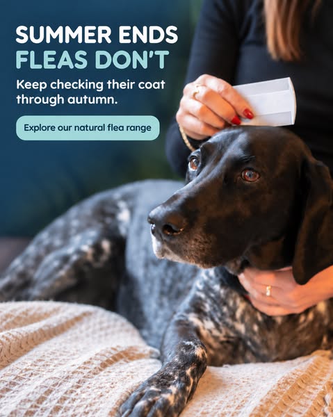Natural Flea Range for Dogs