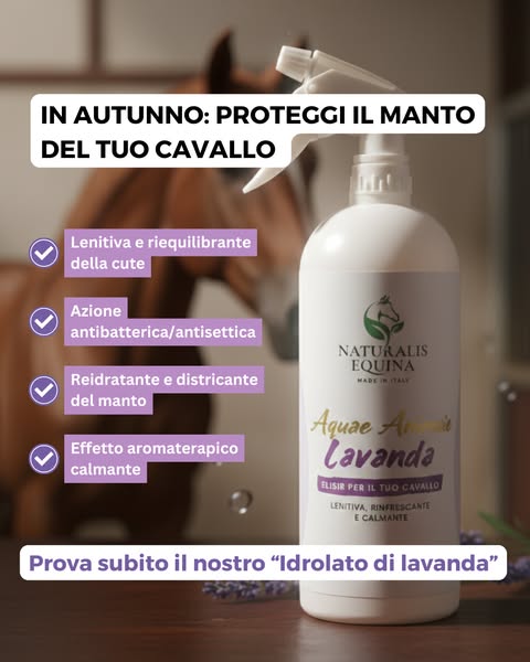 Proteggi il manto del tuo cavallo