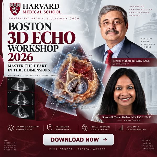 Harvard Boston 3D Echo Workshop 2026