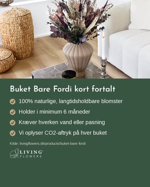 Buket Bare Fordi kort fortalt