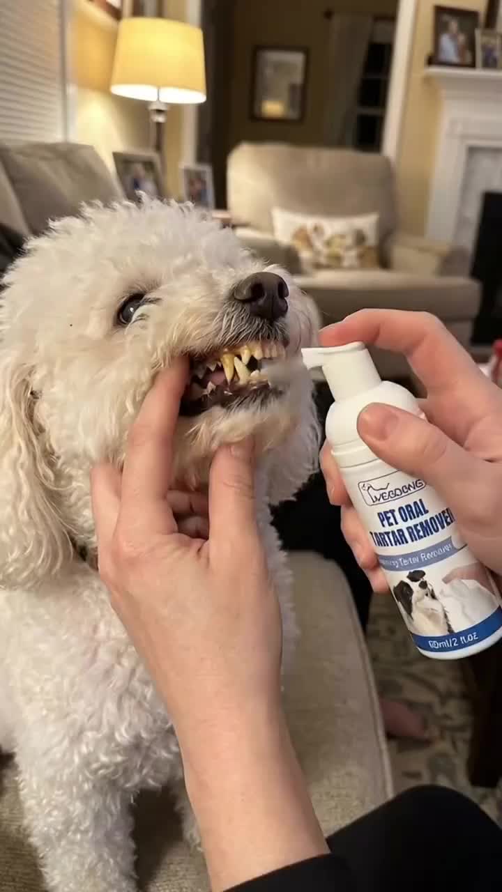 Pet Dental Care Oral Spray