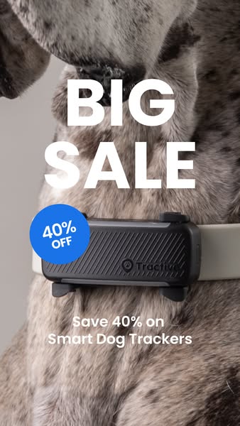 Top summer deal: 40% off dog trackers