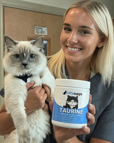 Plus de 200 000 propriétaires de chats nous font confiance