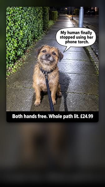 Both hands free. Whole path lit.