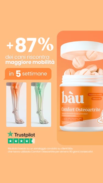 Formula con PEA, Boswellia, Condroitina e Glucosamina.
