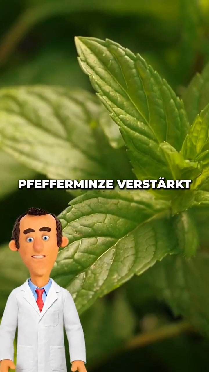 Herbst-Sale: 2 kaufen, 1 gratis dazu