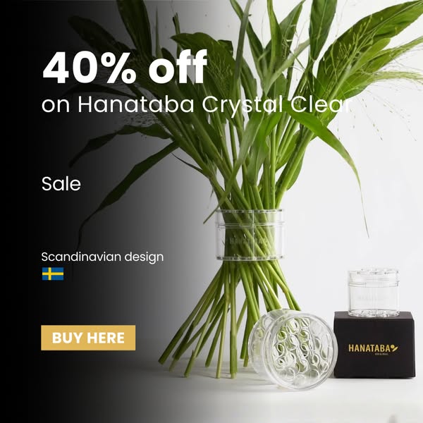 40% off an icon – before it disappears!