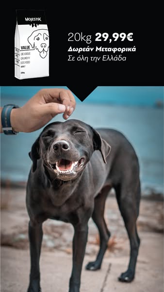 Ανακάλυψέ την εδώ
