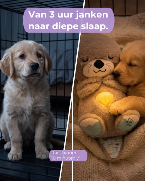 Rust binnen 10 minuten