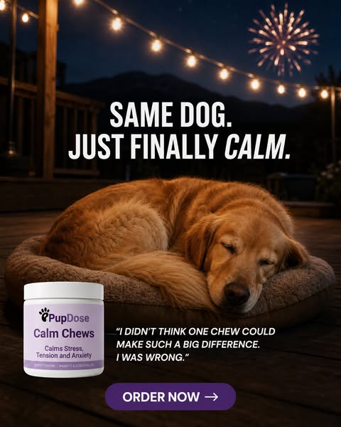 BUY 2 Get 1 FREE — Limited Time