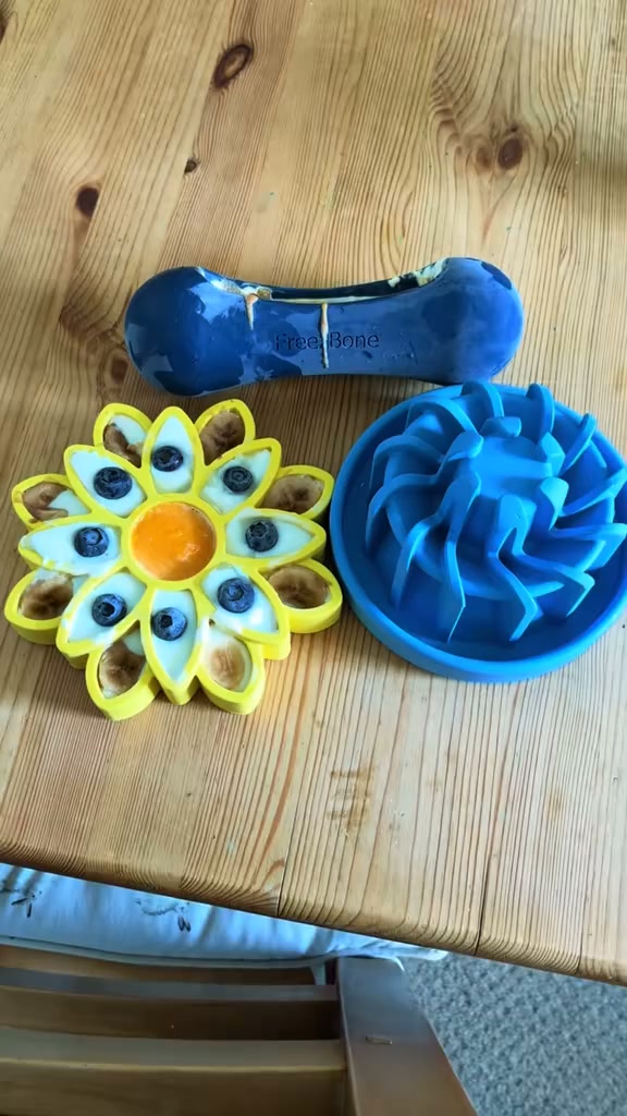 The Frozen Treat Toy Dogs Love