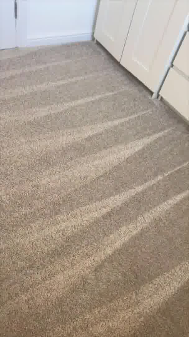 Anastasia Super Soft Saxony Carpet - Doeskin