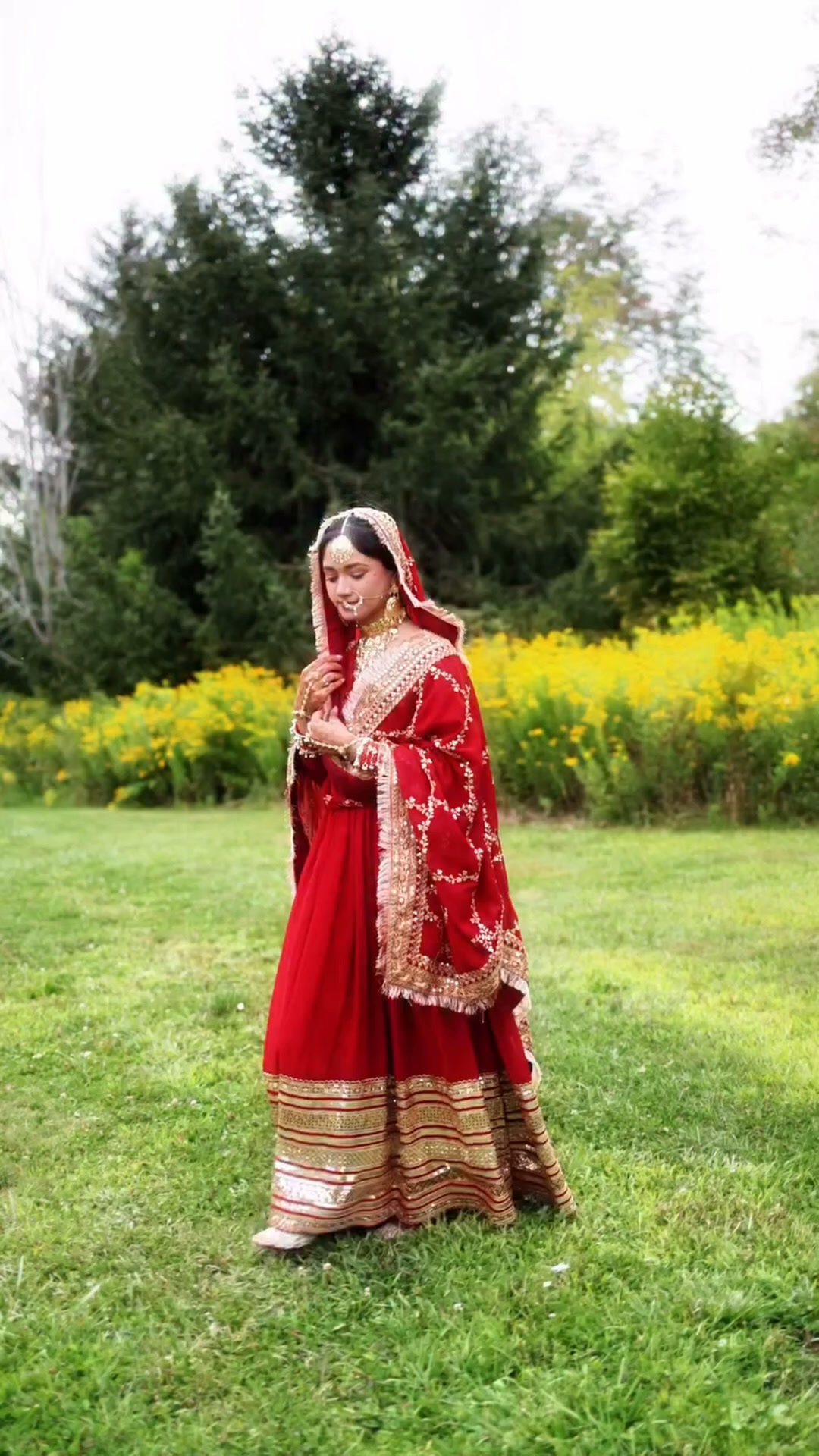 Punjabi Cinema Vibes, Festive Shine