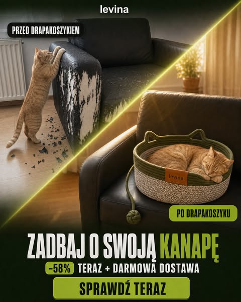 Ponad 20 000 Sprzedanych