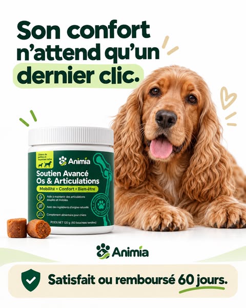 Dernière chance : offre jusqu’à ce soir