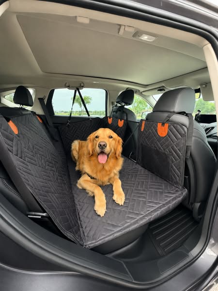 Trusted by 35000+ paw-parents!
