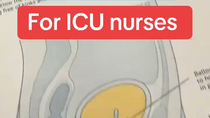 The ICU Nurse's Bedside Handbook