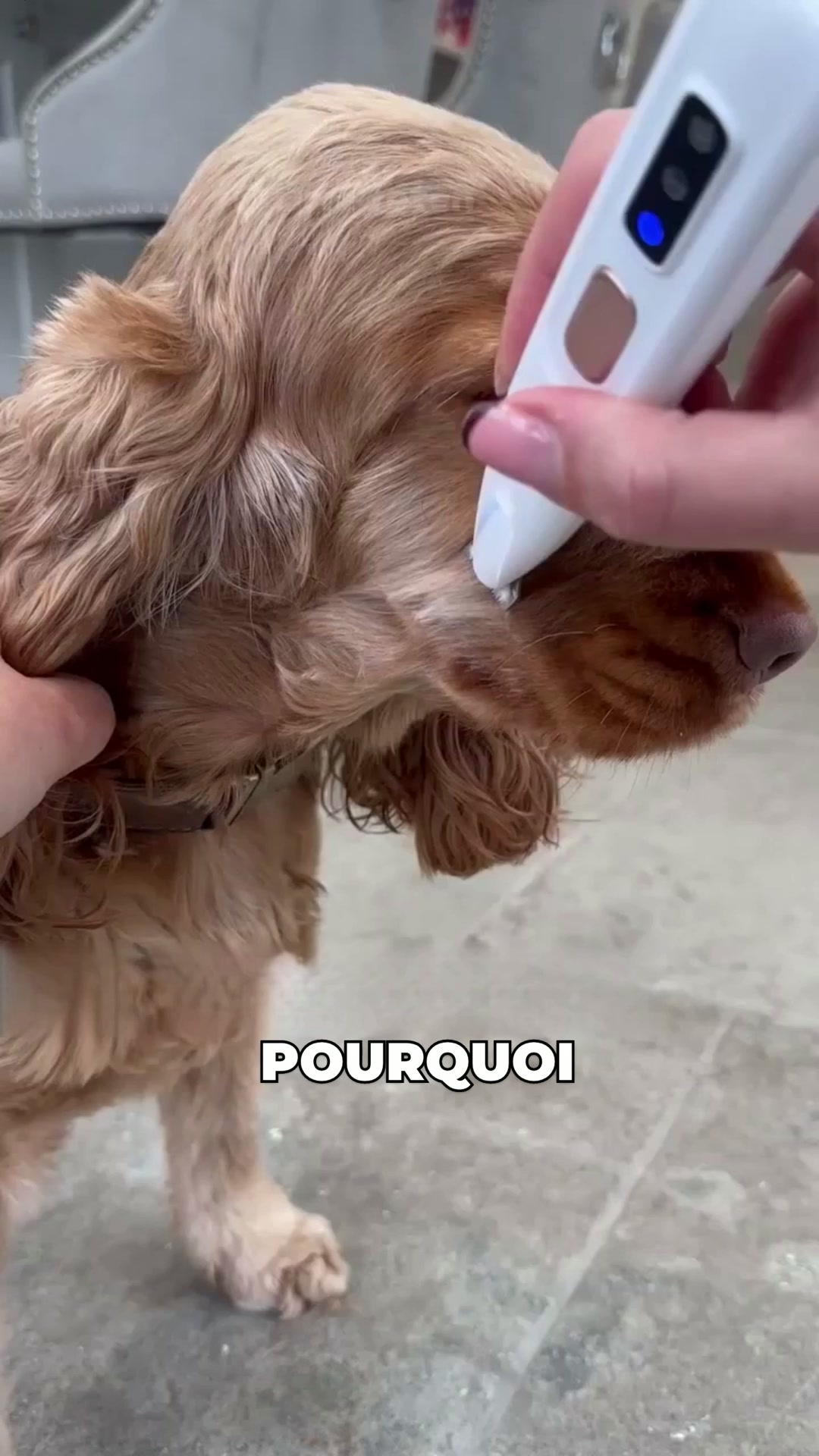 Recommandé par les vétérinaires