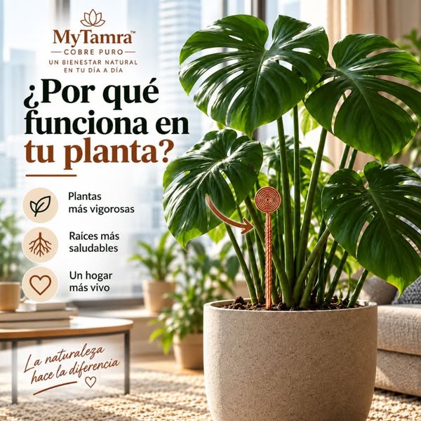 El secreto que la industria de los fertilizantes hizo olvidar.