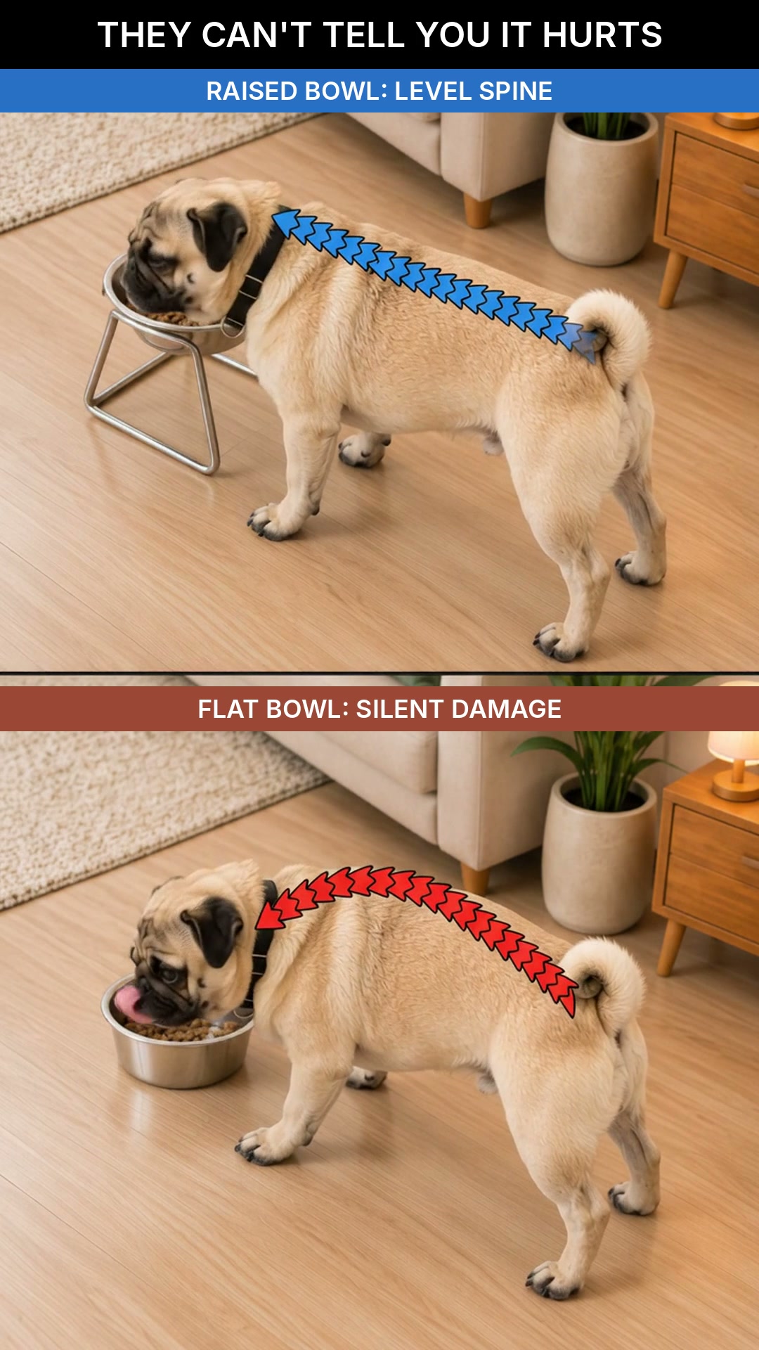 SteelPaw™ Raised Bowl